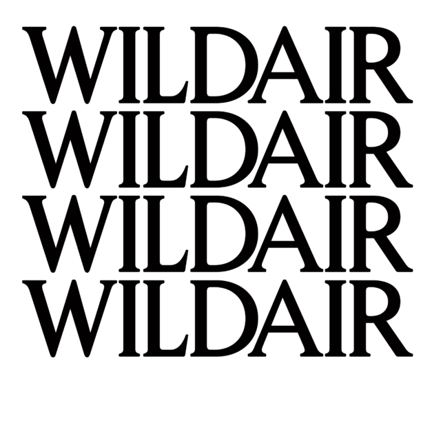 avatar logo