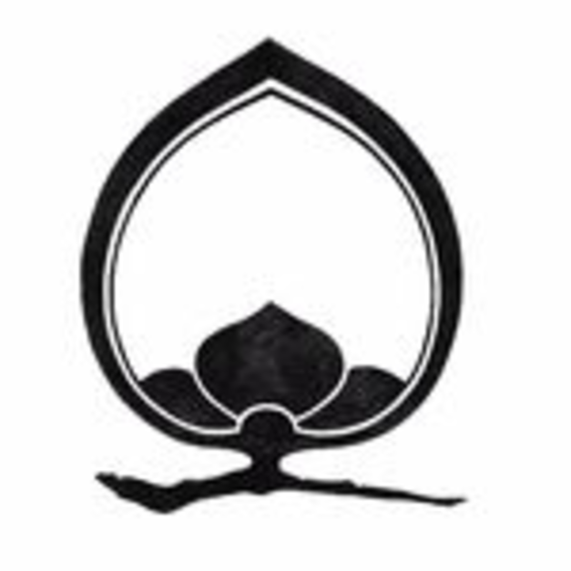 avatar logo