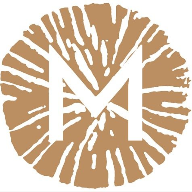 avatar logo