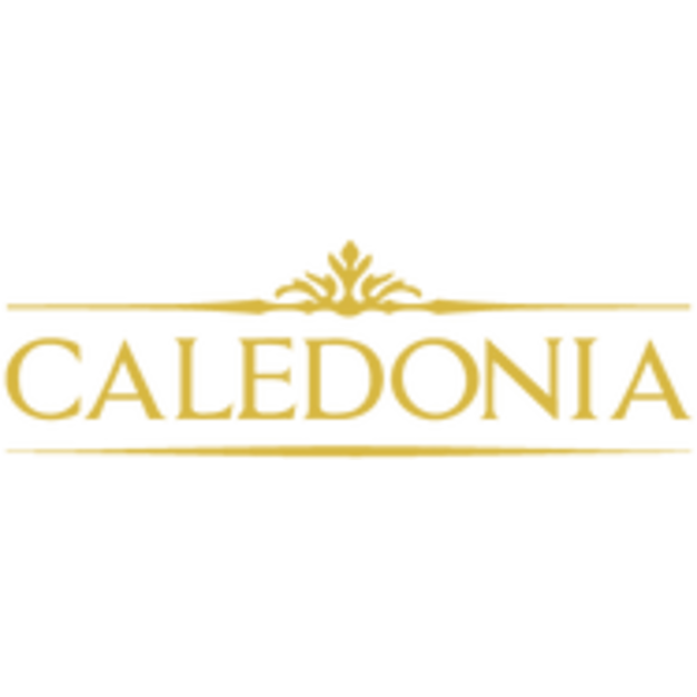 avatar logo