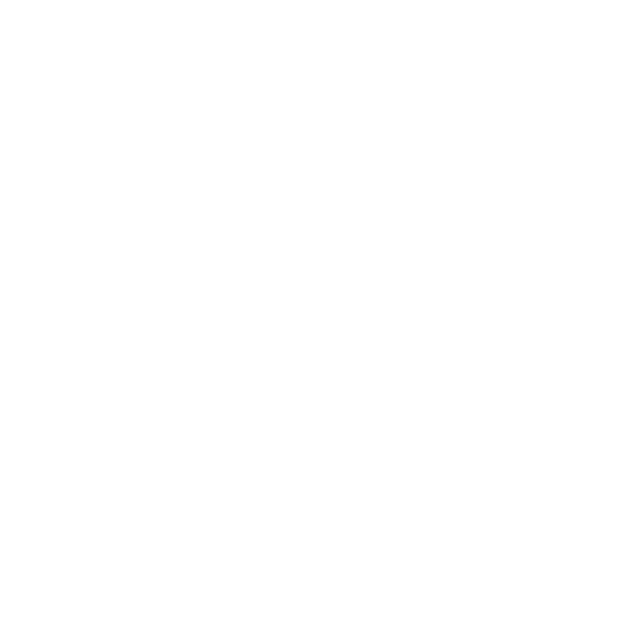 avatar logo