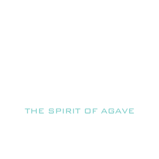 avatar logo