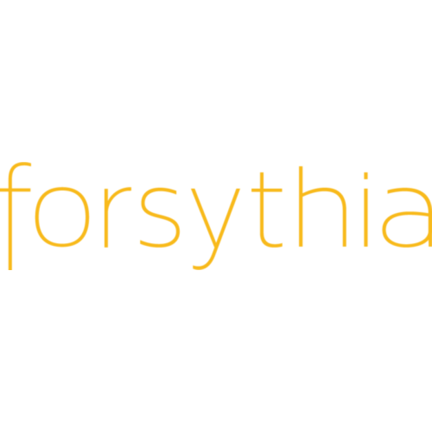 avatar logo