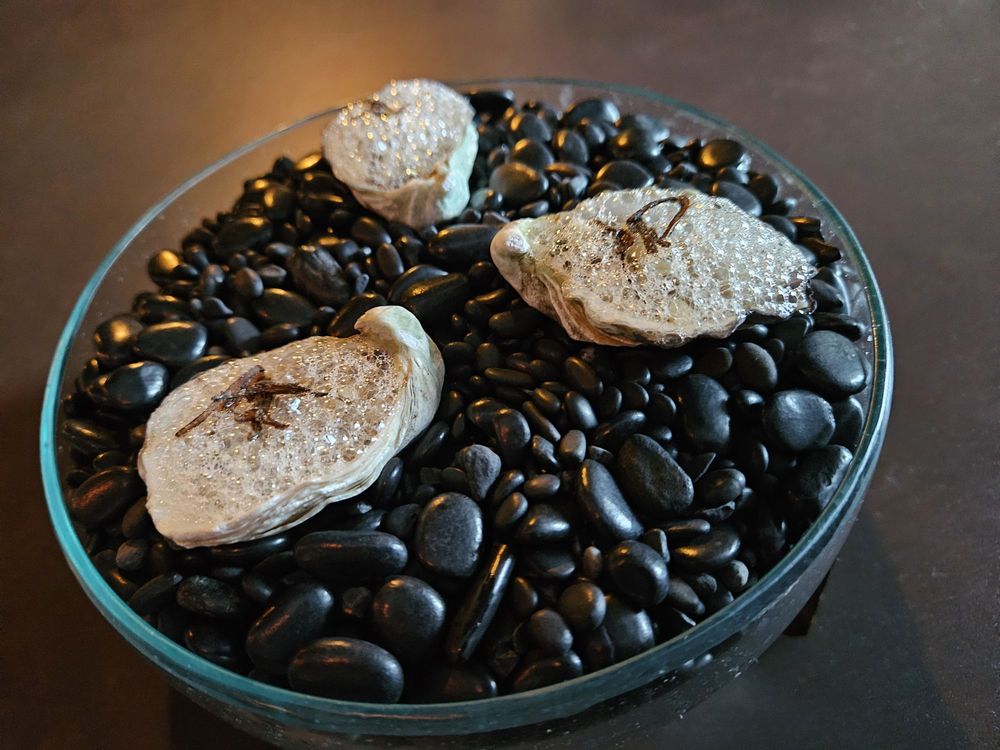 Sushi By Scratch Restaurant: Los Angeles